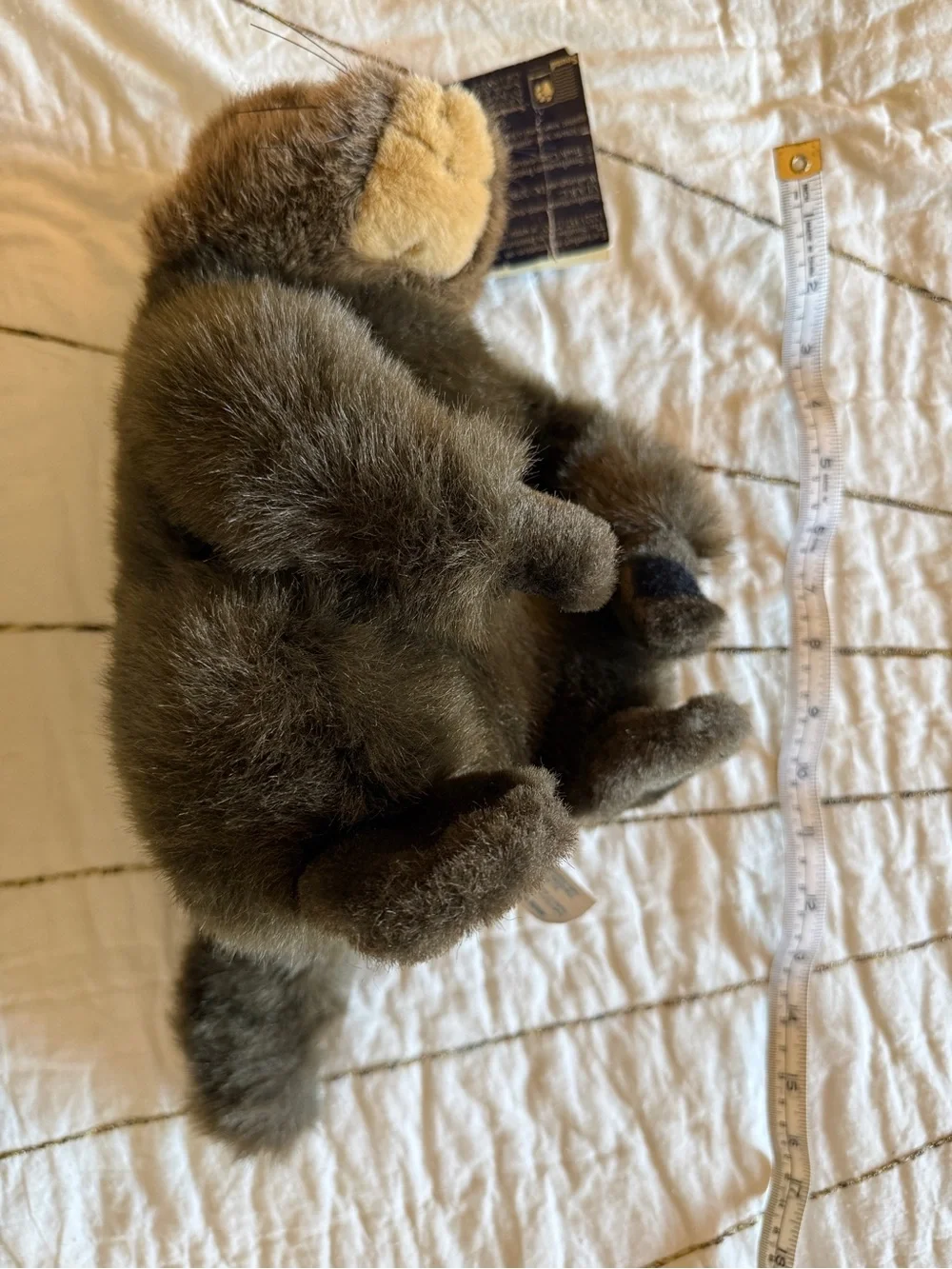 Smithsonian Institution Oceanic Collection Plush Sea Otter